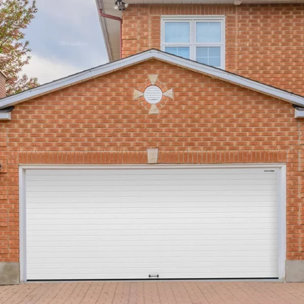 Sectional Garage Door Customized 3