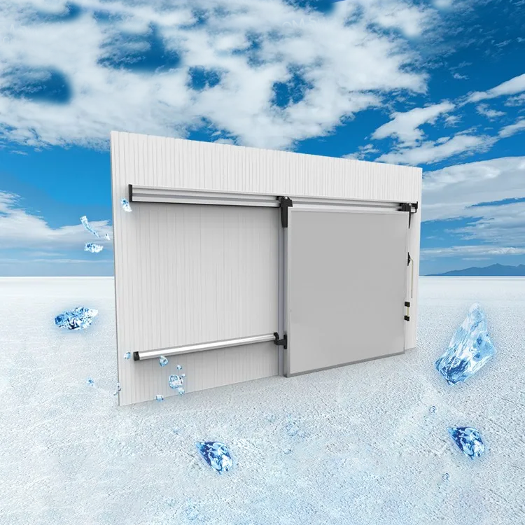 Cold Room Sliding Door